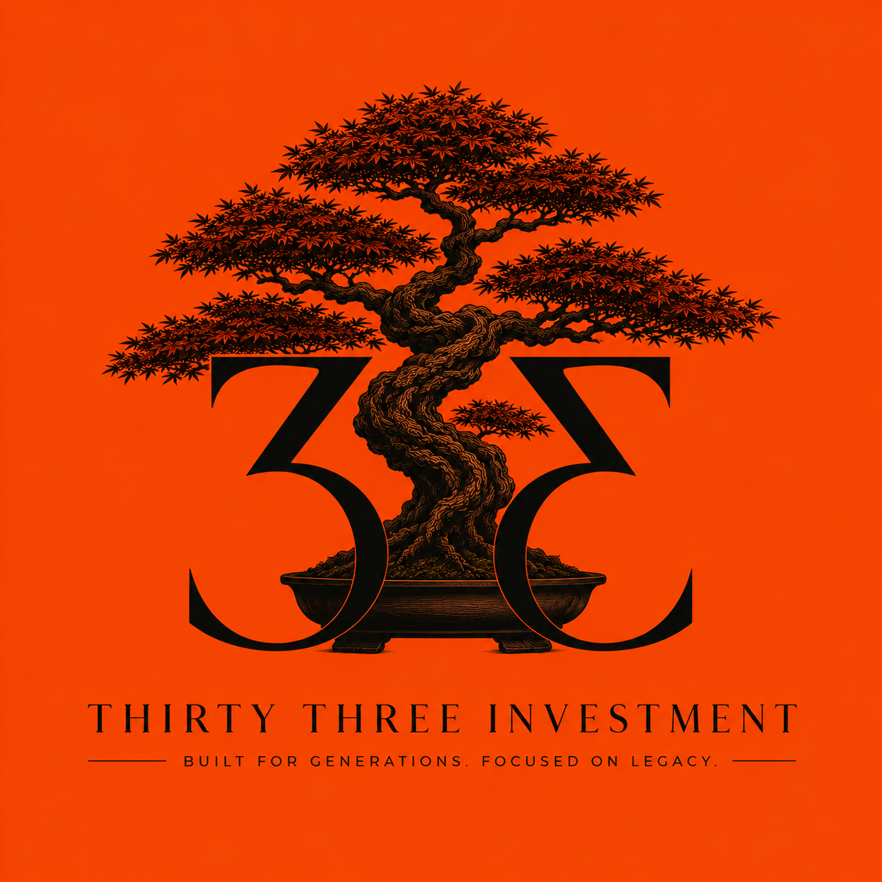 Thirty Three Investment